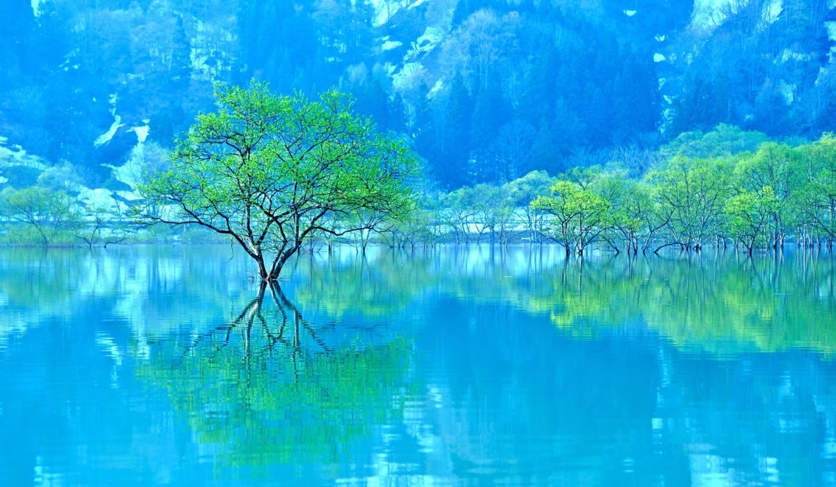 山形県のデートスポット