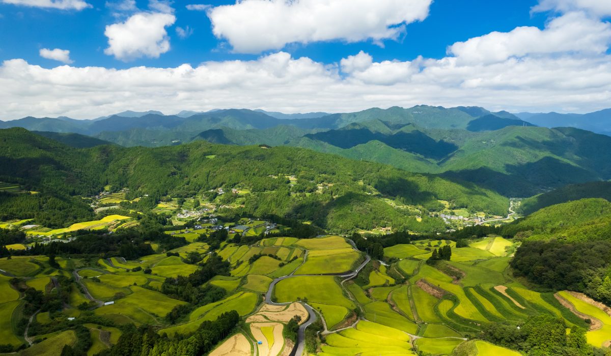 高知県のデートスポット