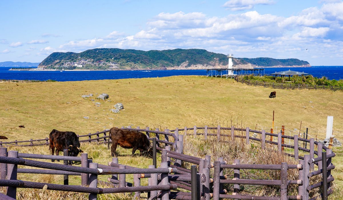 佐賀県のデートスポット